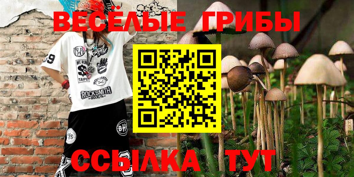 Псилоцибиновые грибы Magic Shrooms Сокол