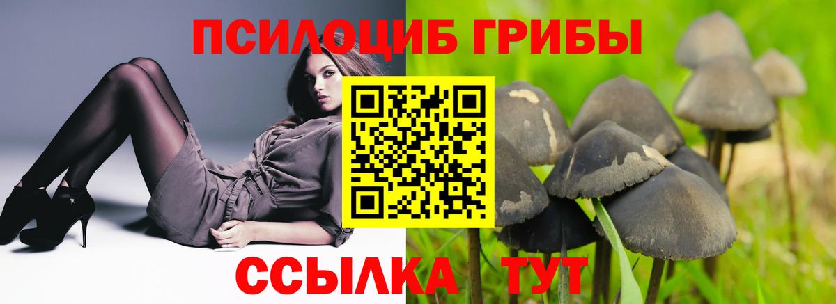 Псилоцибиновые грибы Magic Shrooms  купить  сайты  Сокол  Вход с VPN 